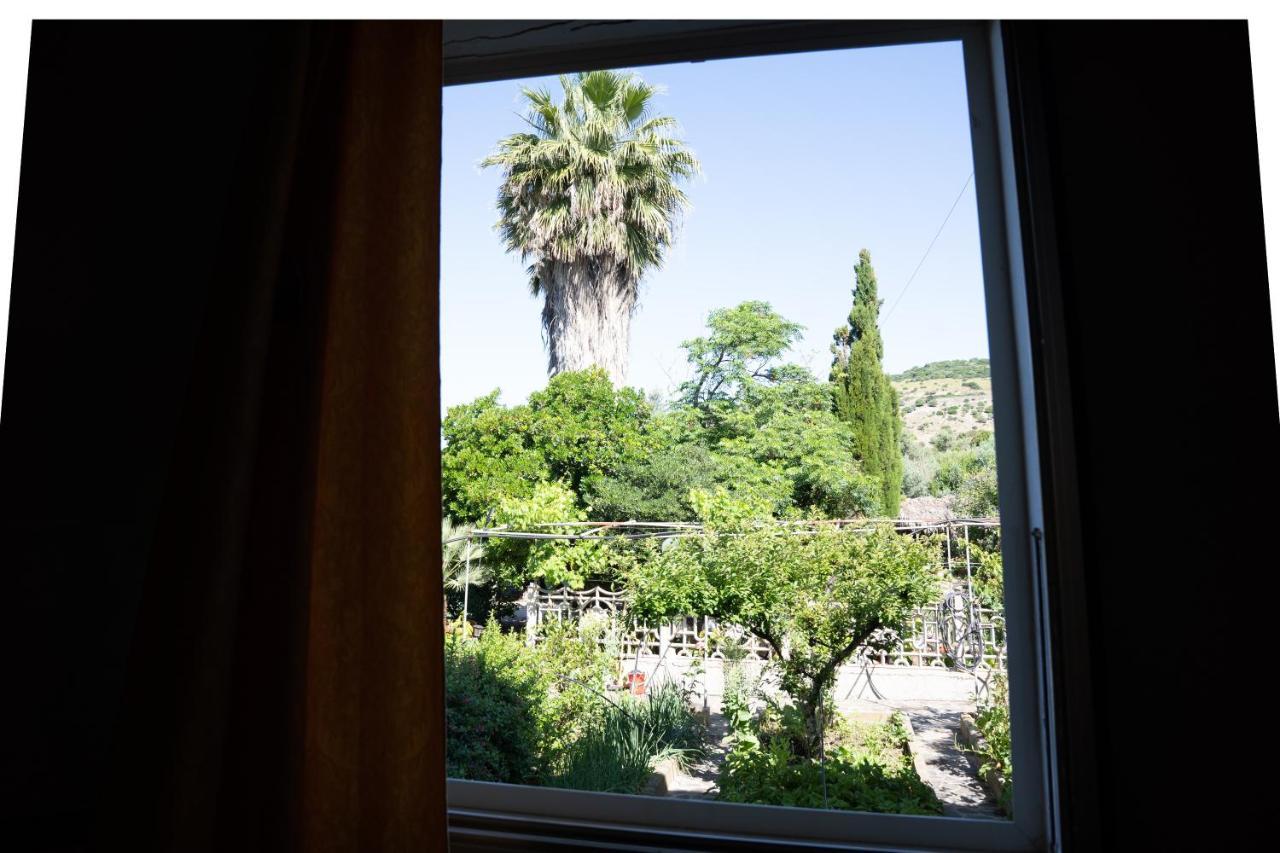 Le Case Nel Vitigno - Modolo Modolo  Kültér fotó